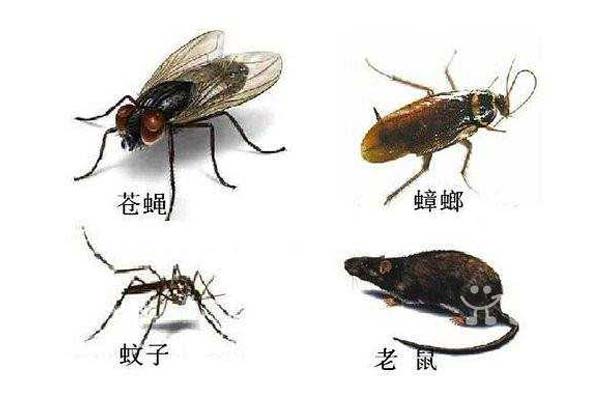 濟南四害消殺公司