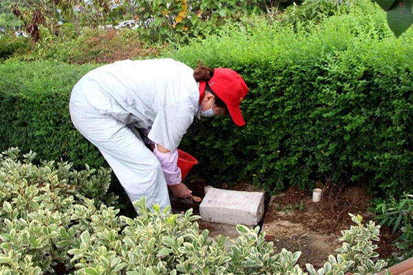 濟南消殺公司簡析學校、幼兒園環境消殺殺菌的措施和方案