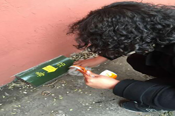 滅鼠