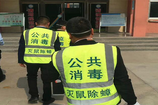 濟南專業滅蟑螂
