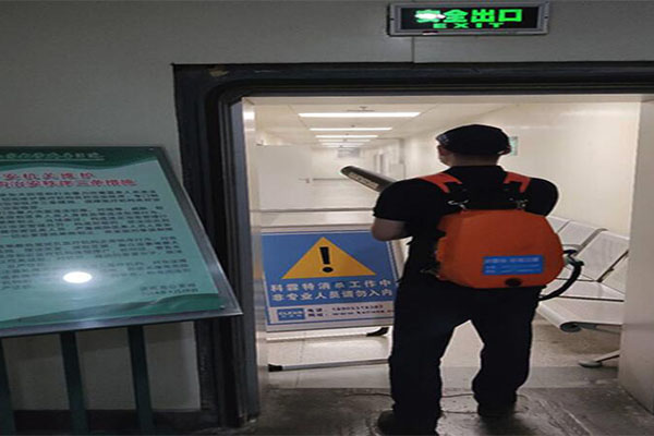 濟南專業滅蟑螂
