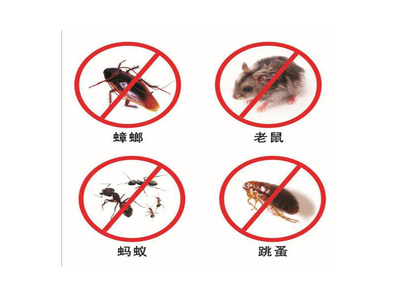 濟南滅蟑螂公司