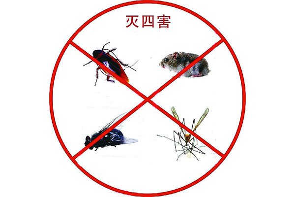 濟南滅蟑公司