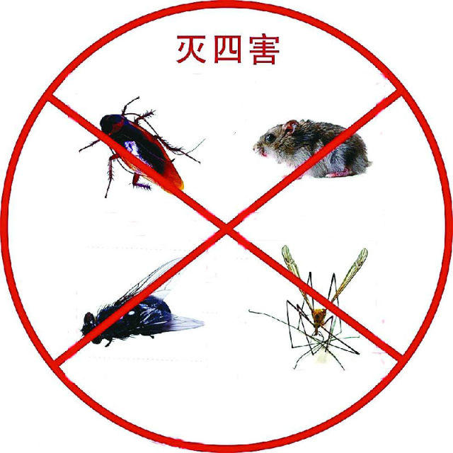 濟南滅蟑螂公司